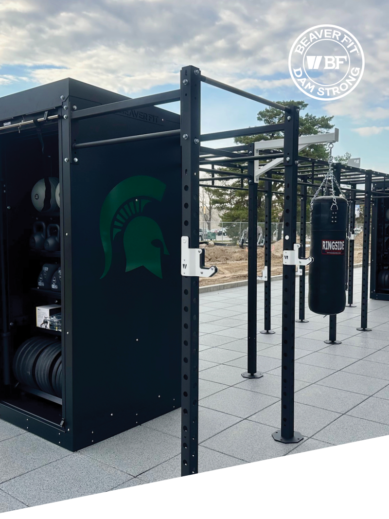 Michigan State University email header
